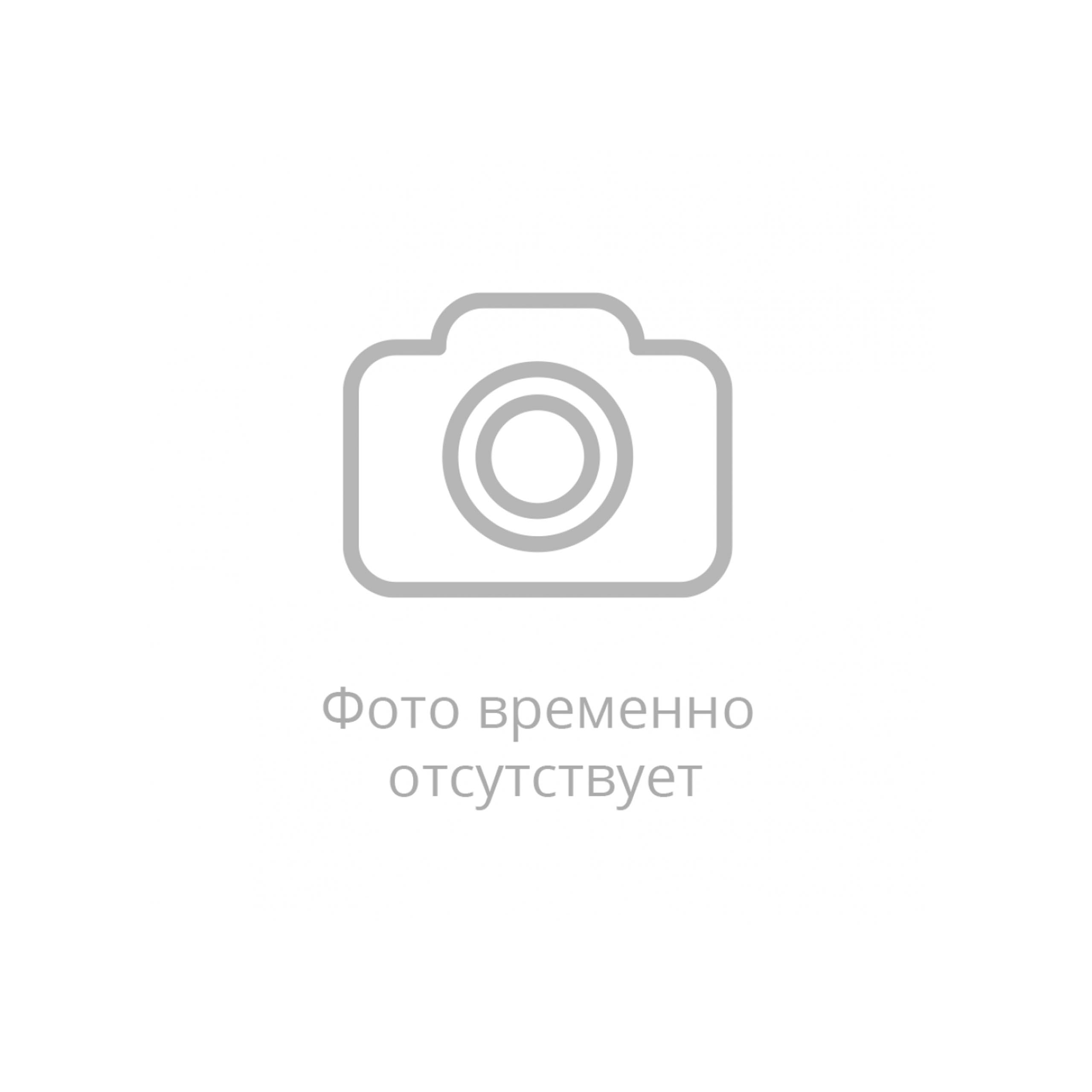 Снегоход IRBIS TUNGUS 500L 24/25 в Березниках