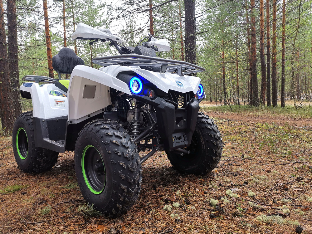 Квадроцикл PROMAX RENEGADE 280 (2025) в Березниках