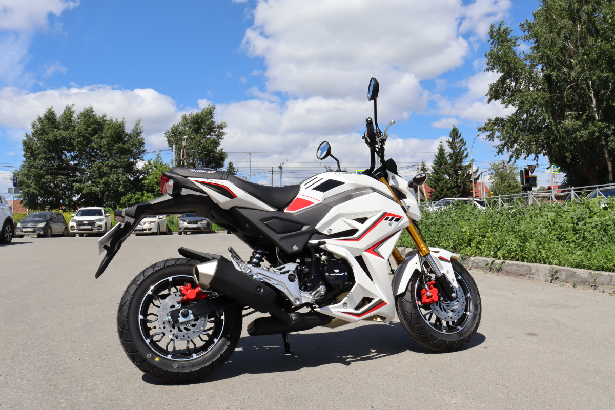 Мотоцикл PROMAX STRYKER 200(49) 2.0 в Березниках