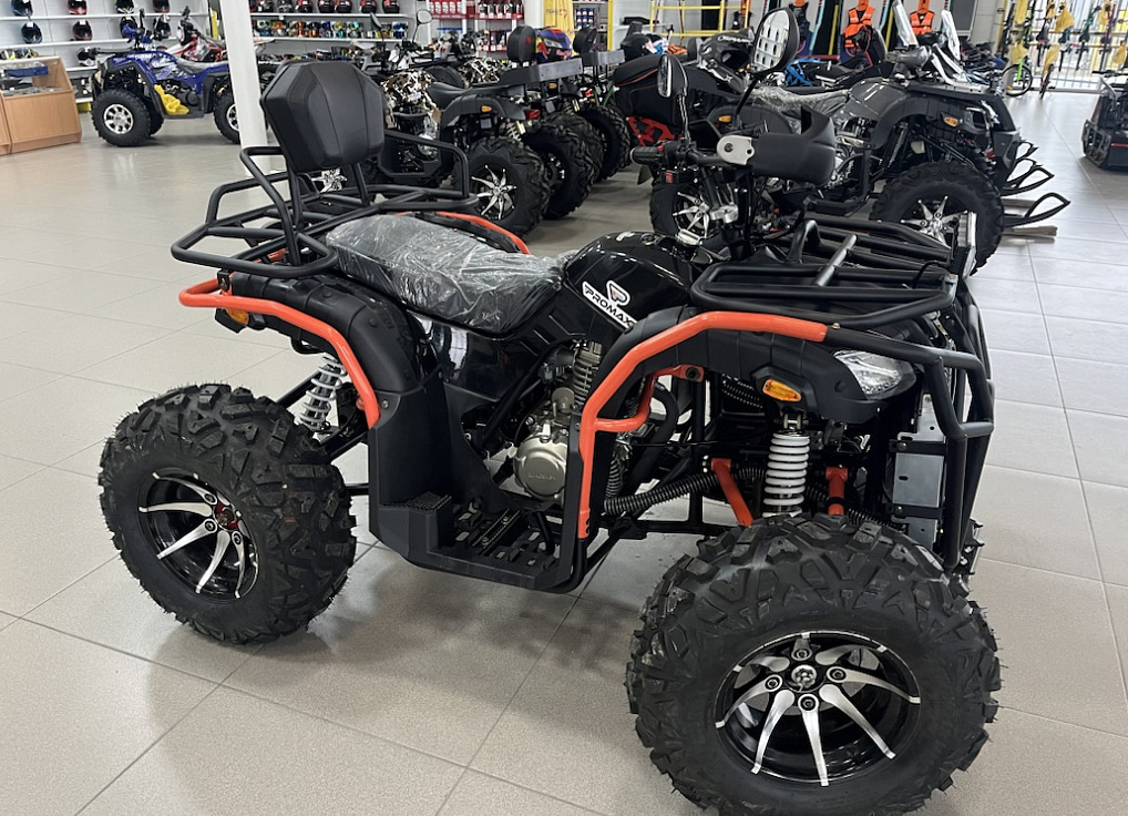 Квадроцикл PROMAX 300 4X4 ALL ROAD в Березниках