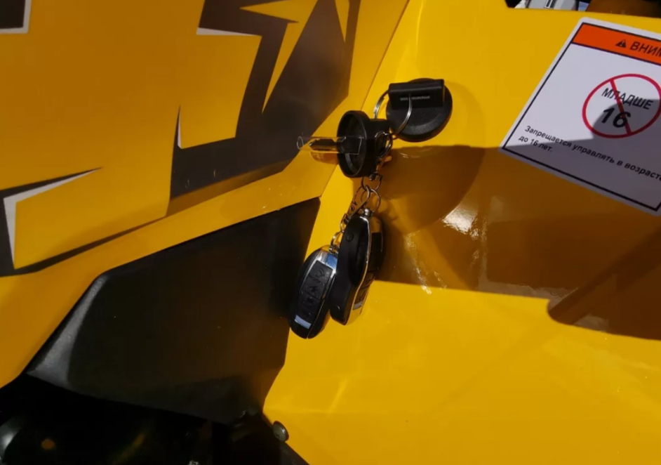 Квадроцикл MOTOLAND (МОТОЛЕНД) VOX200 WILD TRACK X PRO (баланс. вал) в Березниках