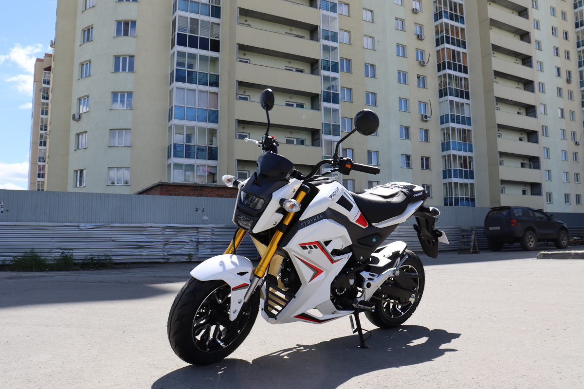 Мотоцикл PROMAX STRYKER 200(49) 2.0 в Березниках