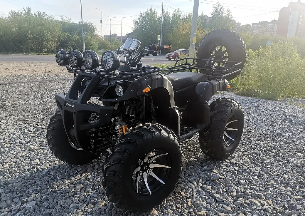 Квадроцикл PROMAX LEO 300 Max (кардан) в Березниках