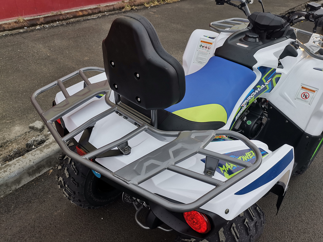 Квадроцикл PROMAX RENEGADE 280 LUX (2025) в Березниках