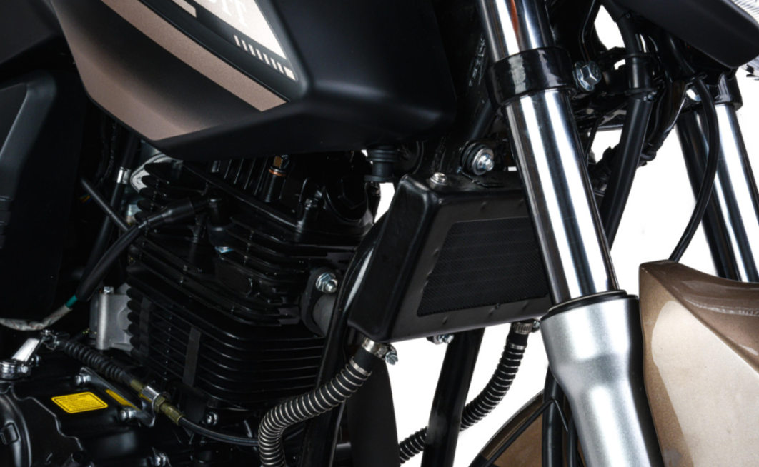 Мотоцикл MOTOLAND (МОТОЛЕНД) 300 BANDIT в Березниках