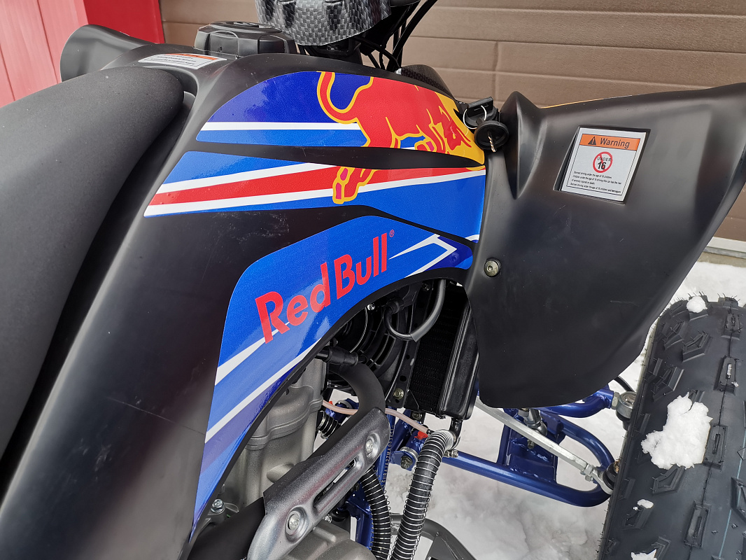 Квадроцикл PROMAX RAPTOR 300 NEW RedBull в Березниках