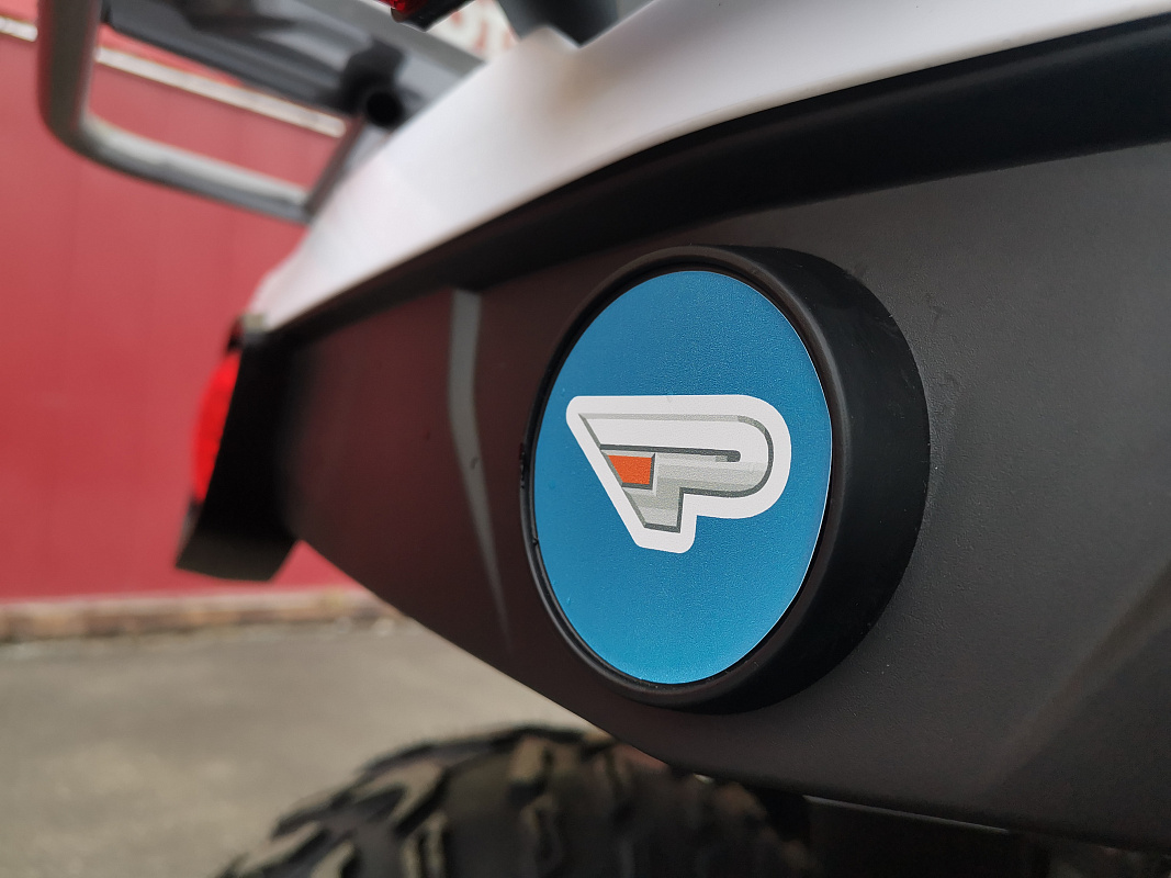 Квадроцикл PROMAX RENEGADE 280 LUX (2025) в Березниках