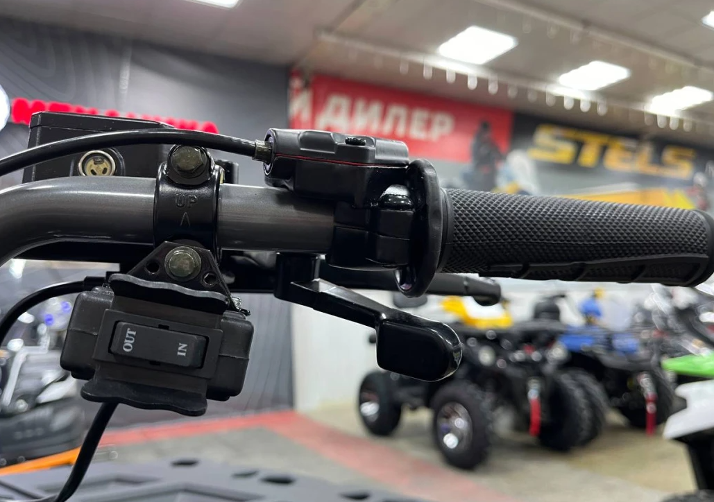 Квадроцикл PROMAX RENEGADE 300 LONG WINCH PRO (2025) в Березниках