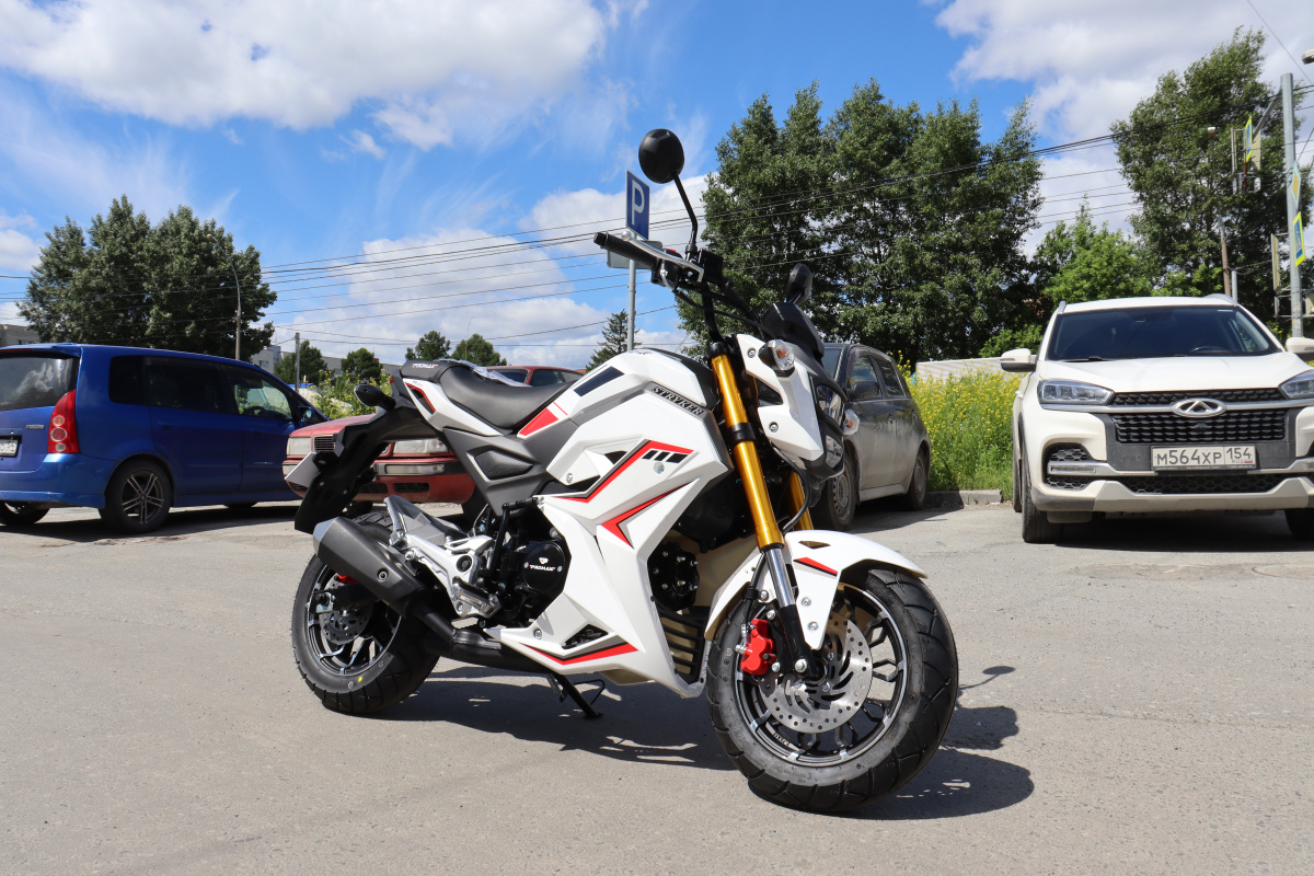 Мотоцикл PROMAX STRYKER 200(49) 2.0 в Березниках