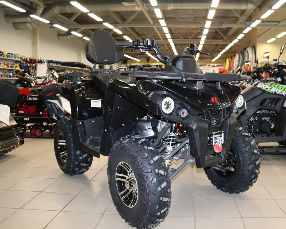 Квадроцикл PROMAX RENEGADE 300 LONG WINCH PRO (2025) в Березниках