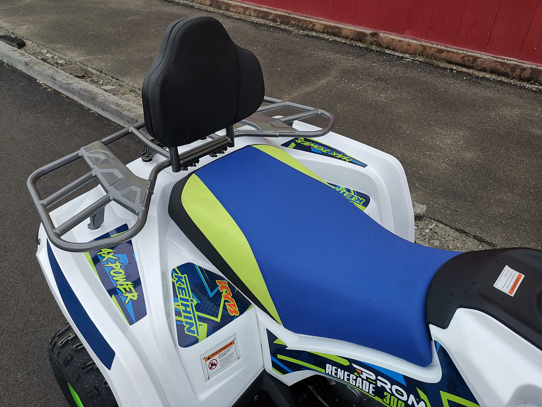 Квадроцикл PROMAX RENEGADE 280 LUX (2025) в Березниках