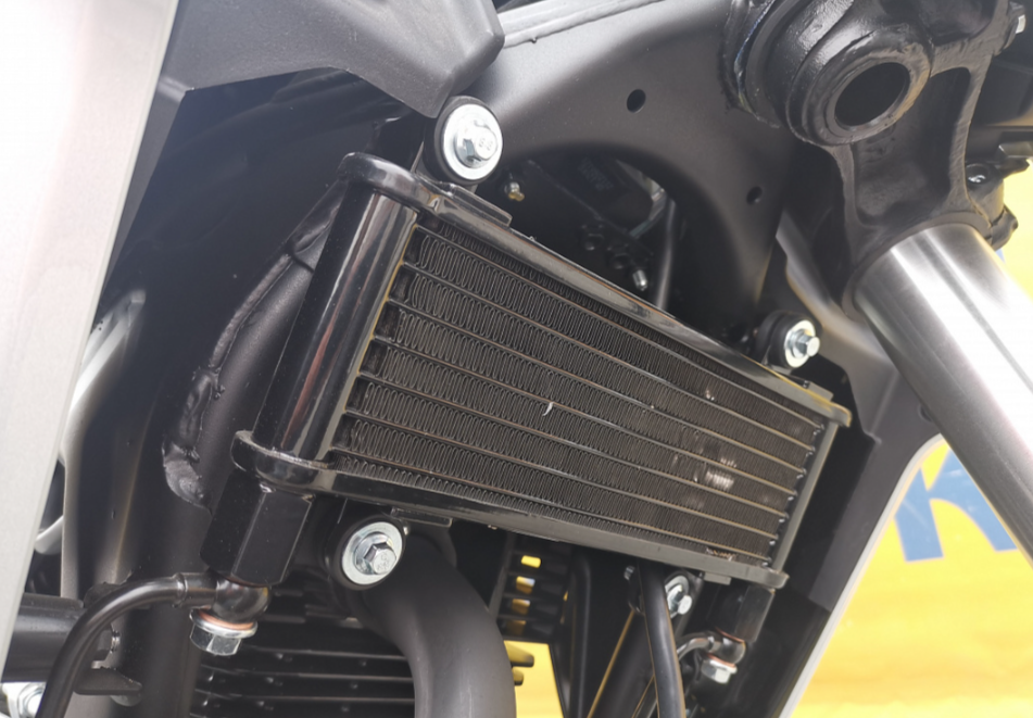 Мотоцикл MOTOLAND (МОТОЛЕНД) 250 CB250 (172FMM-5/PR250) (2022 г.) в Березниках