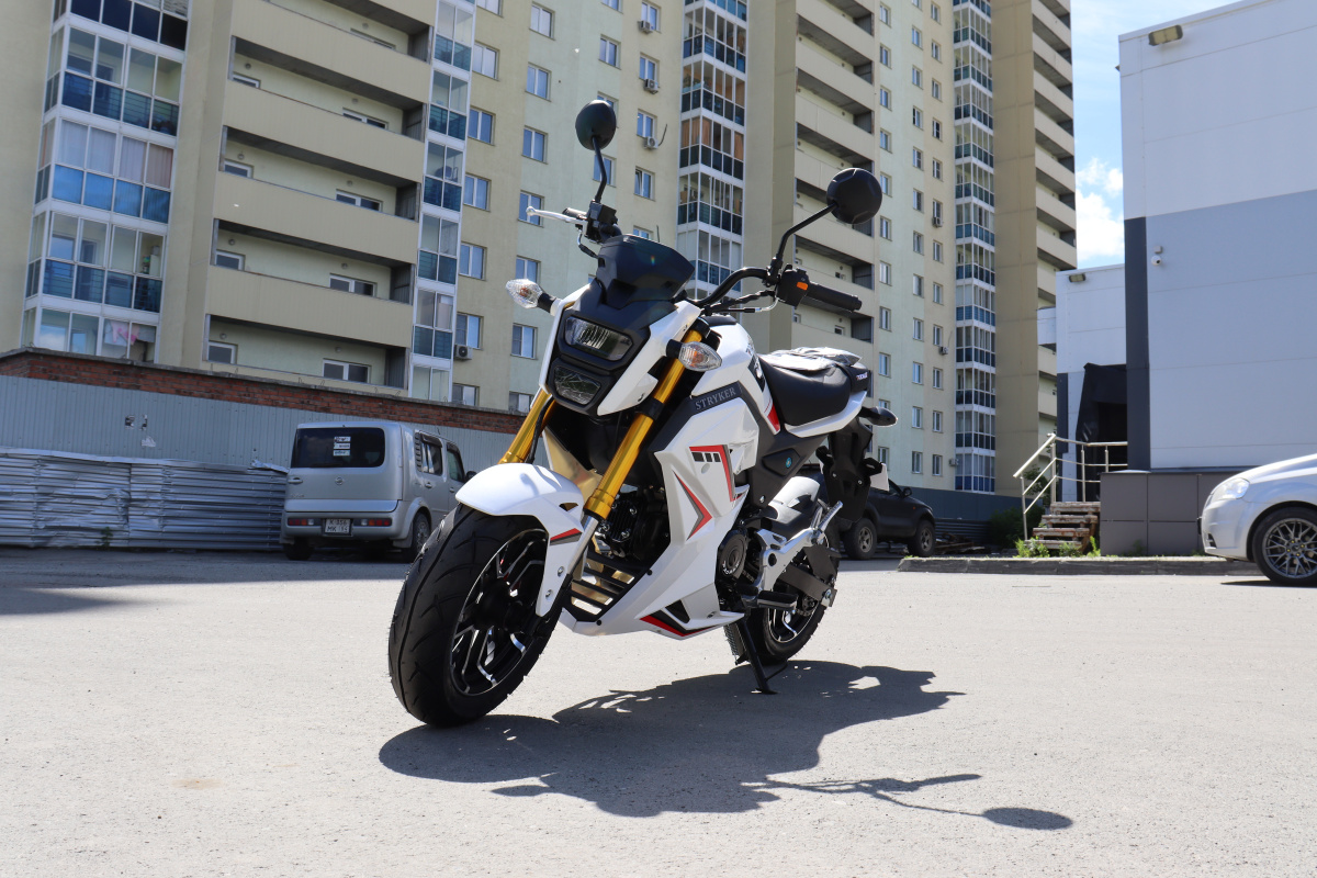 Мотоцикл PROMAX STRYKER 200(49) 2.0 в Березниках