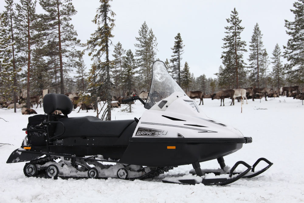 СНЕГОХОД РМ ТАЙГА ВАРЯГ 550 V в Березниках