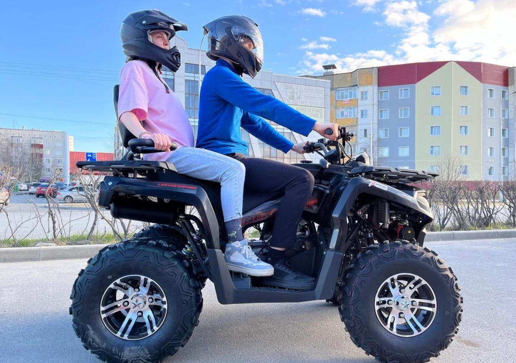 Квадроцикл PROMAX RENEGADE 300 LONG WINCH PRO (2025) в Березниках