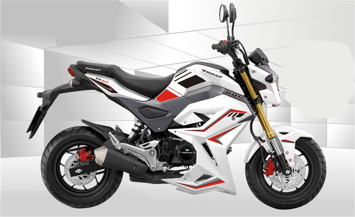 Мотоцикл PROMAX STRYKER 200(49) 2.0 в Березниках