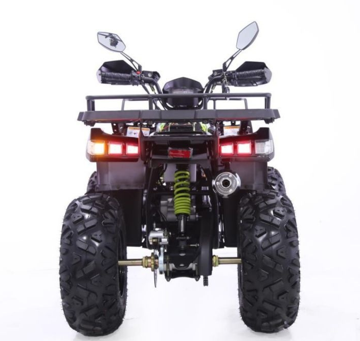 Квадроцикл YACOTA WARRIOR 200 PRO в Березниках