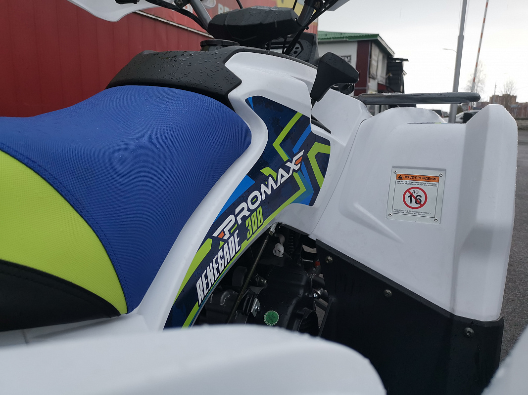 Квадроцикл PROMAX RENEGADE 280 LUX (2025) в Березниках
