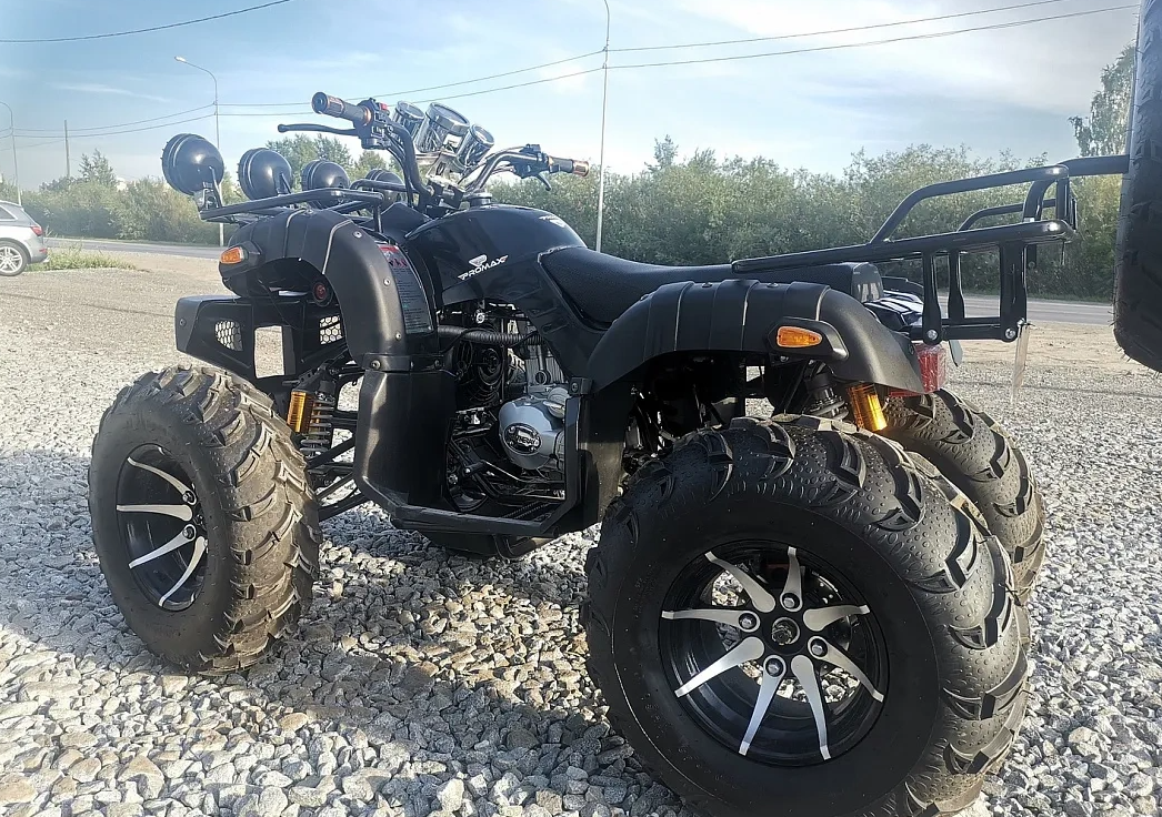Квадроцикл PROMAX LEO 300 Max (кардан) в Березниках