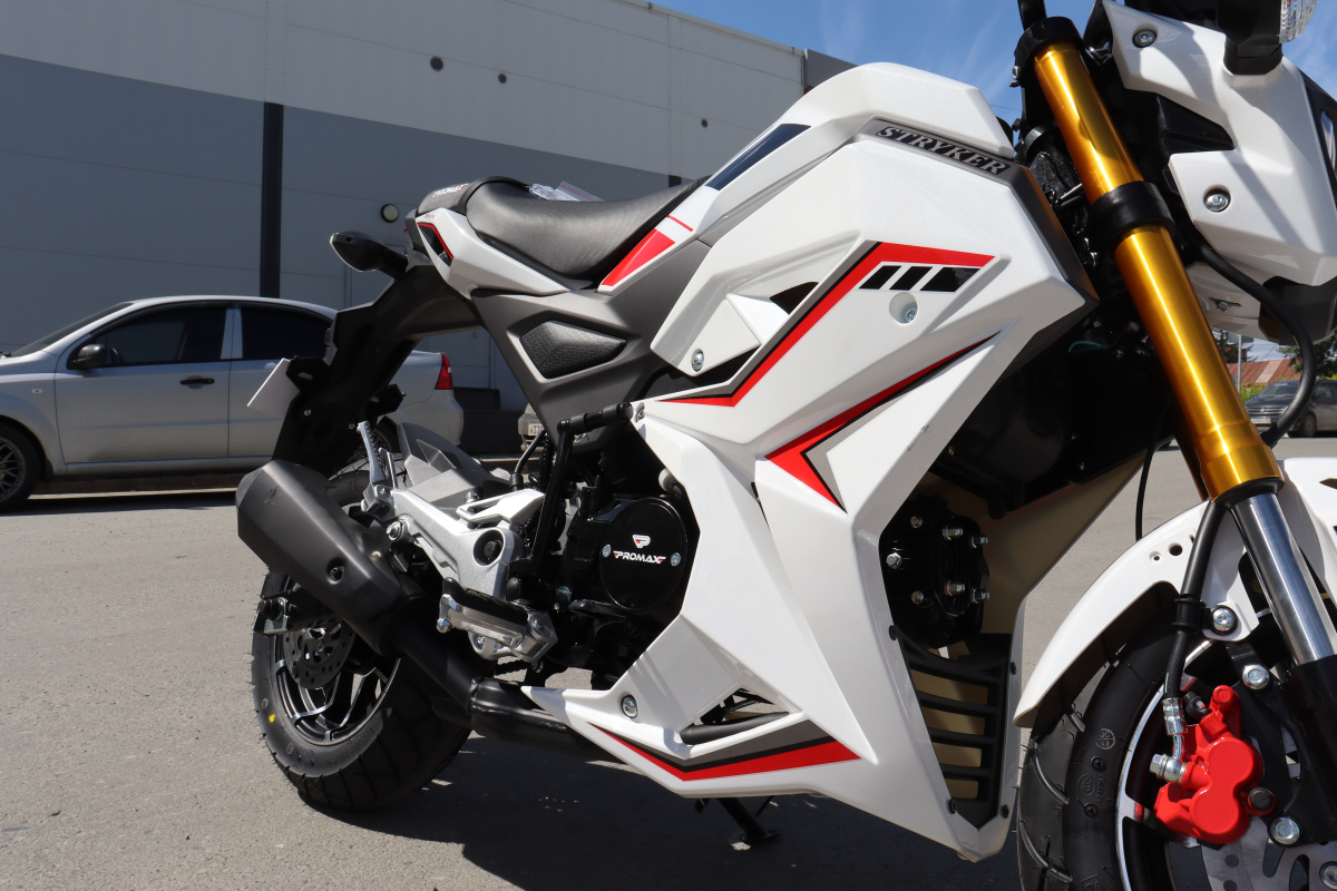 Мотоцикл PROMAX STRYKER 200(49) 2.0 в Березниках