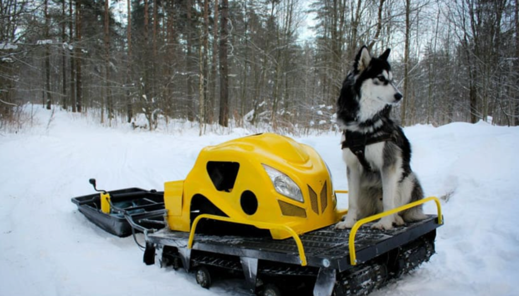 Мотобуксировщик LEBEDEV MOTORS ВОЛКОДАВ POWER V13 в Березниках