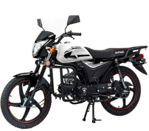 Мопед MOTOLAND (МОТОЛЕНД) Альфа RS 11 (LM48-B) в Березниках