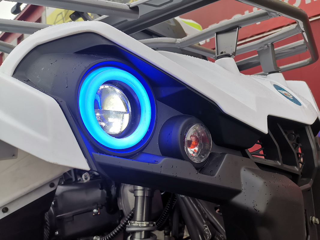 Квадроцикл PROMAX RENEGADE 280 LUX (2025) в Березниках