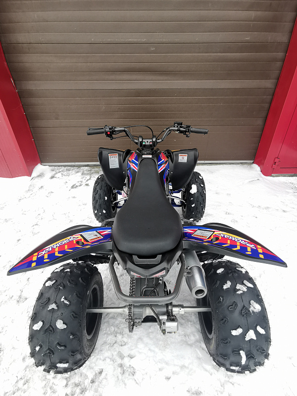 Квадроцикл PROMAX RAPTOR 300 NEW RedBull в Березниках
