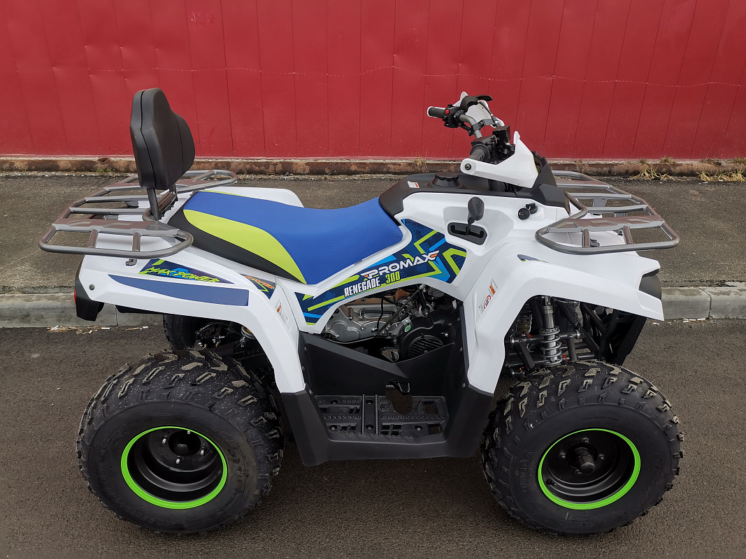 Квадроцикл PROMAX RENEGADE 280 LUX (2025) в Березниках