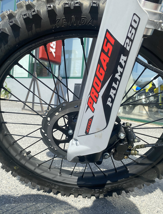 Мотоцикл Progasi PALMA 300 NEW (CB300F) в Березниках