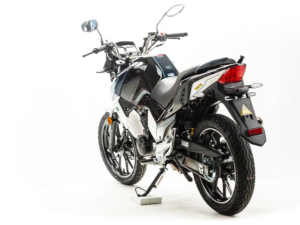 Мотоцикл MOTOLAND (МОТОЛЕНД) FIGHTER 250 в Березниках