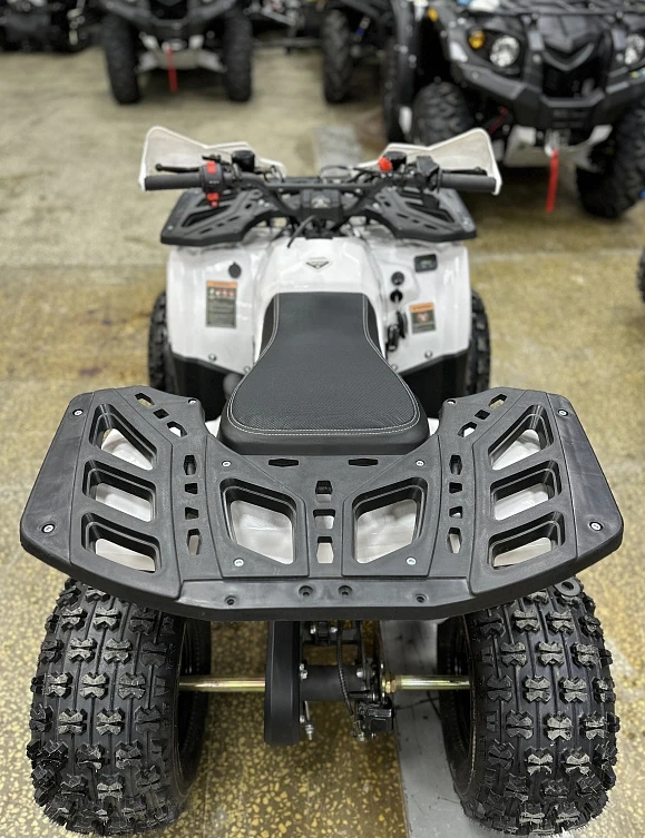 Квадроцикл PROMAX WILD 2.0 190 в Березниках