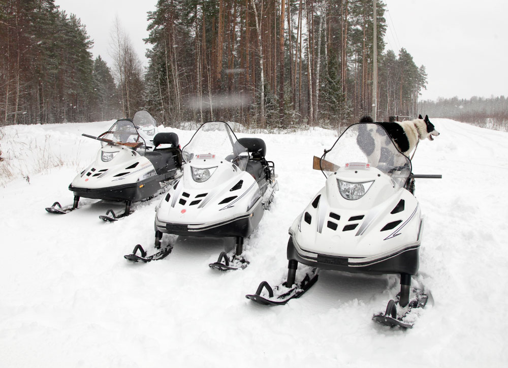 СНЕГОХОД РМ ТАЙГА ВАРЯГ 550 V в Березниках