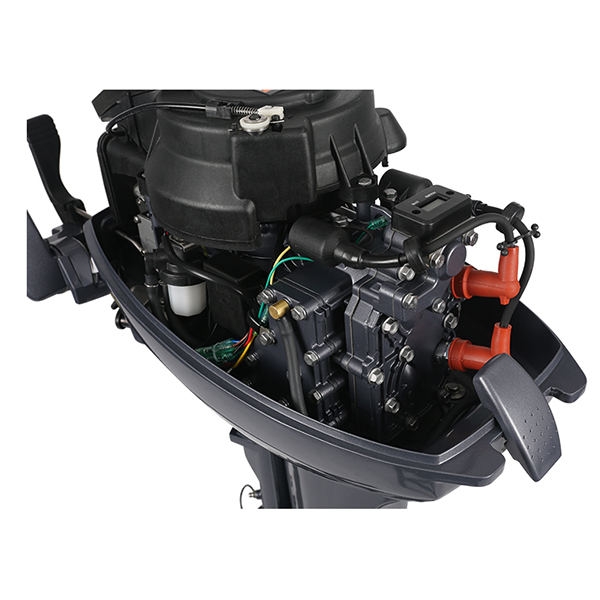 ЛОДОЧНЫЙ МОТОР ALLFA CG Т9,9 Limit в Березниках