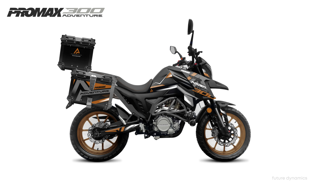 Мотоцикл PROMAX ADVENTURE 300 PRO EFI (NB300) в Березниках