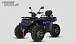 Квадроцикл PROMAX TAURUS 300 MAX-PRO LONG в Березниках