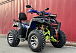  Квадроцикл PROMAX ATV 250 MAX (2025) в Березниках