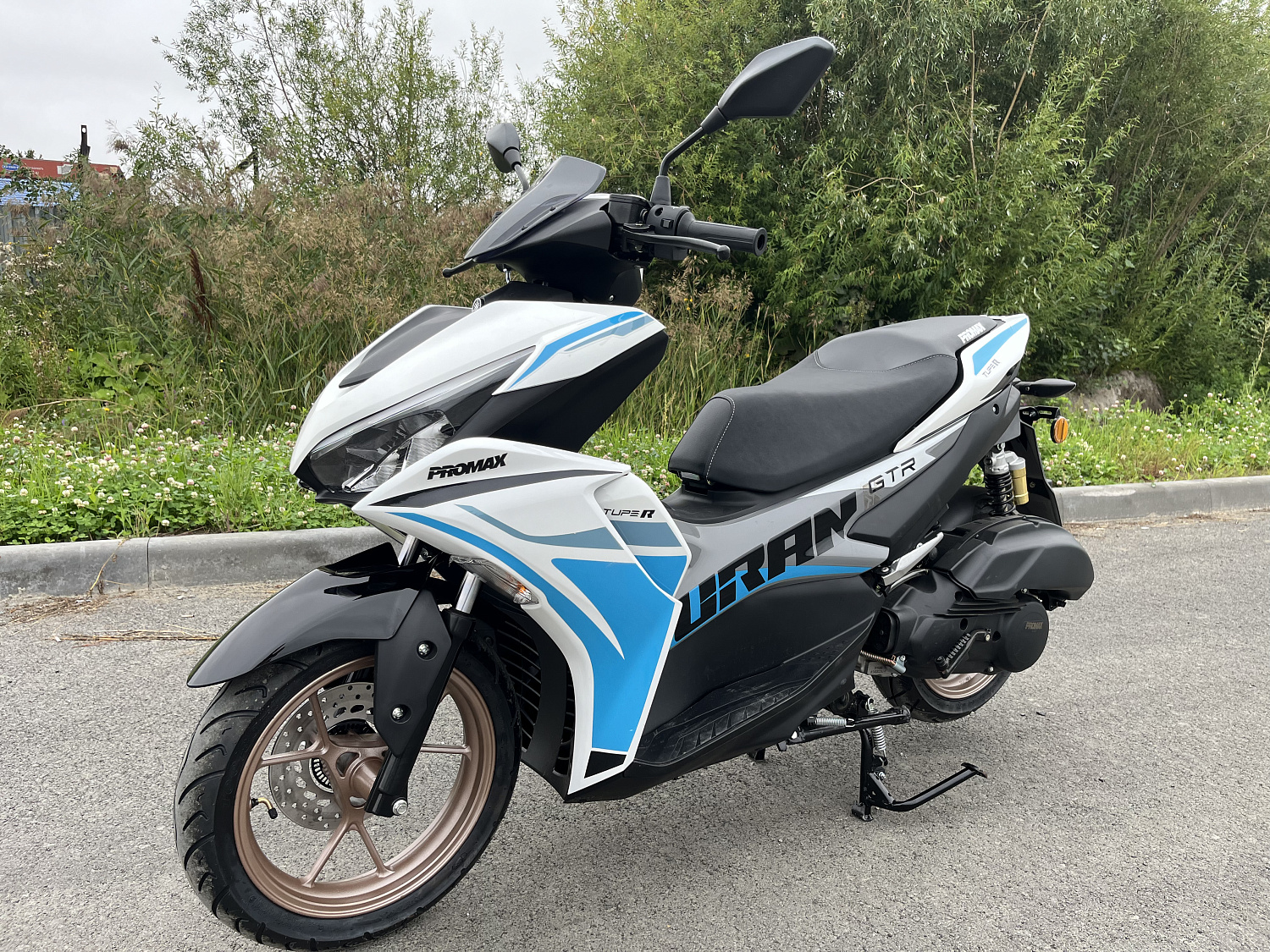 Скутер PROMAX TURAN 250 (49) в Березниках