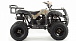 Квадроцикл MOTOLAND (МОТОЛЕНД) 200 ALL ROAD в Березниках
