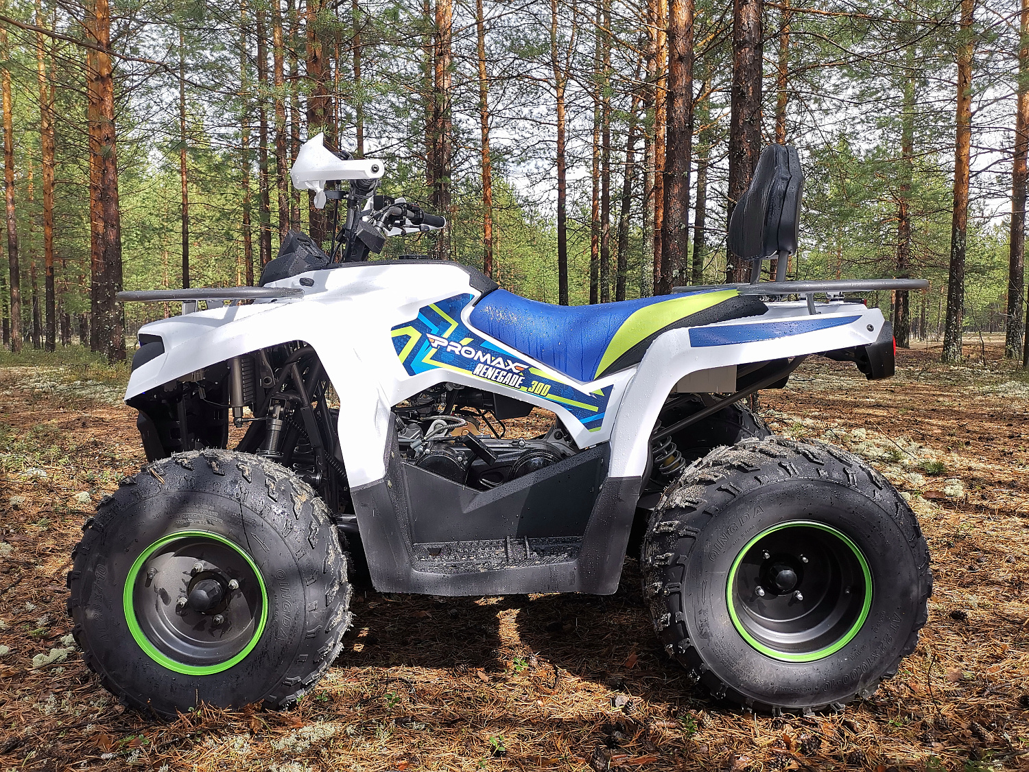 Квадроцикл PROMAX RENEGADE 280 (2025) в Березниках