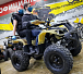 Квадроцикл PROMAX ATV 250 (2025) в Березниках