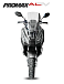 МаксиСкутер PROMAX-HONDA ADV 150 (49) (Inspired by HONDA) в Березниках