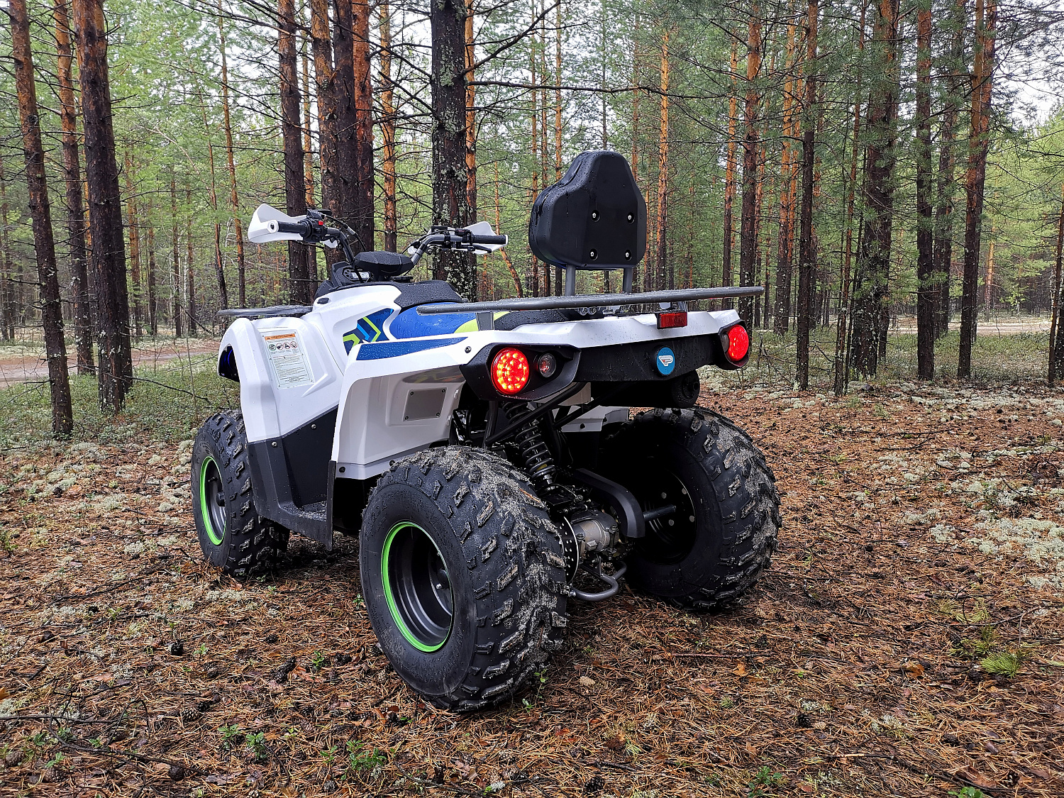 Квадроцикл PROMAX RENEGADE 280 (2025) в Березниках