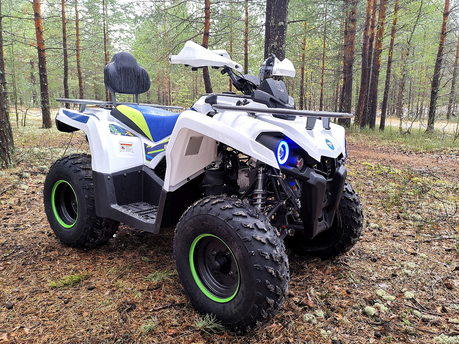 Квадроцикл PROMAX RENEGADE 280 (2025) в Березниках