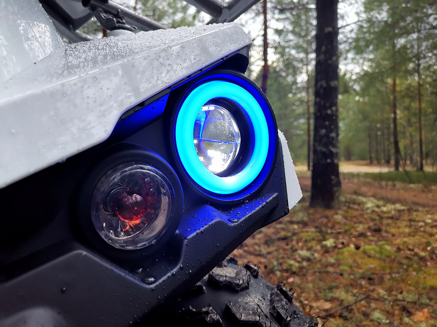 Квадроцикл PROMAX RENEGADE 280 (2025) в Березниках