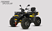 Квадроцикл PROMAX TAURUS 300 MAX-PRO LONG в Березниках